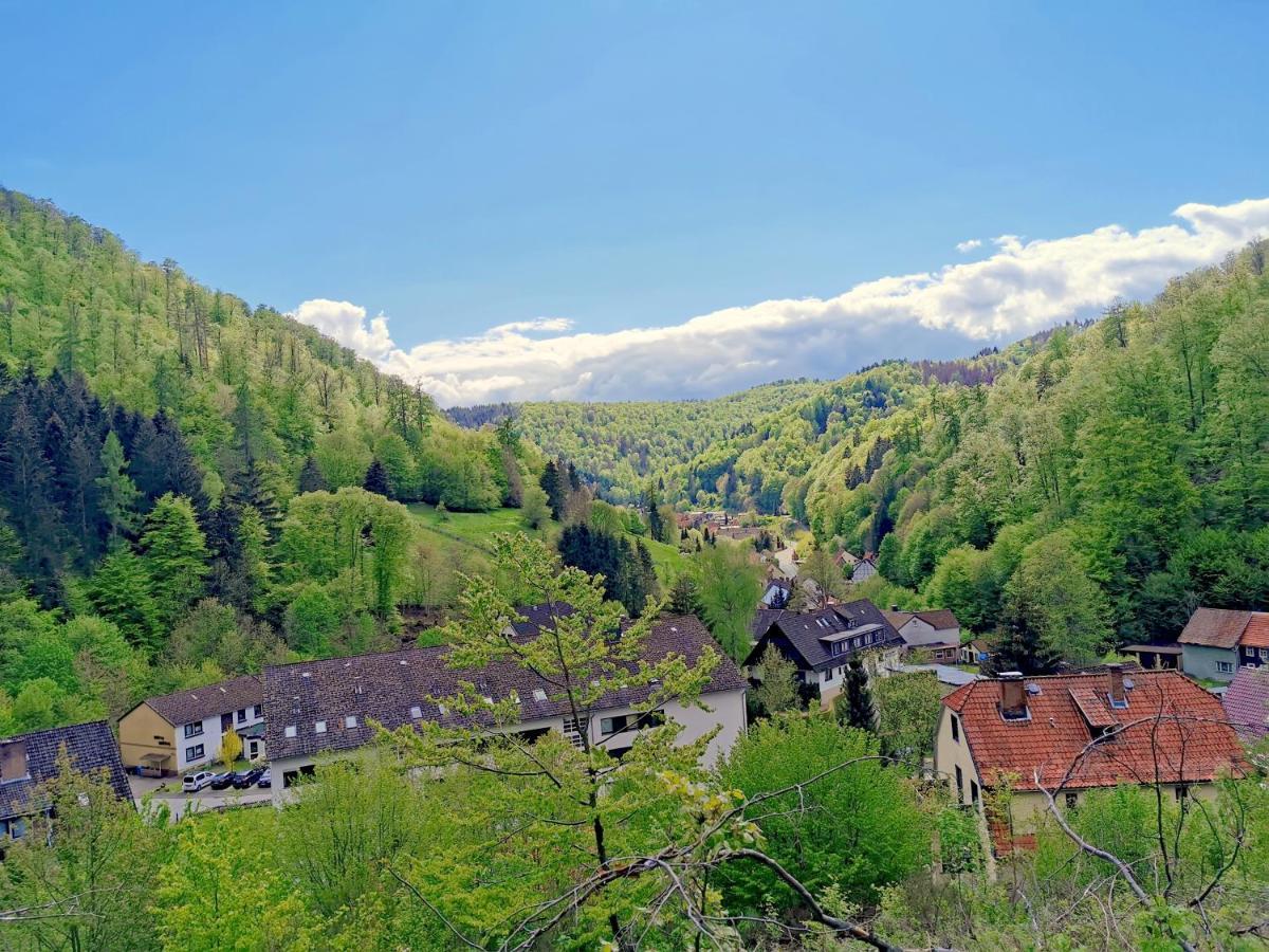 Vor Lauter Baeumen B&B Zorge Екстериор снимка