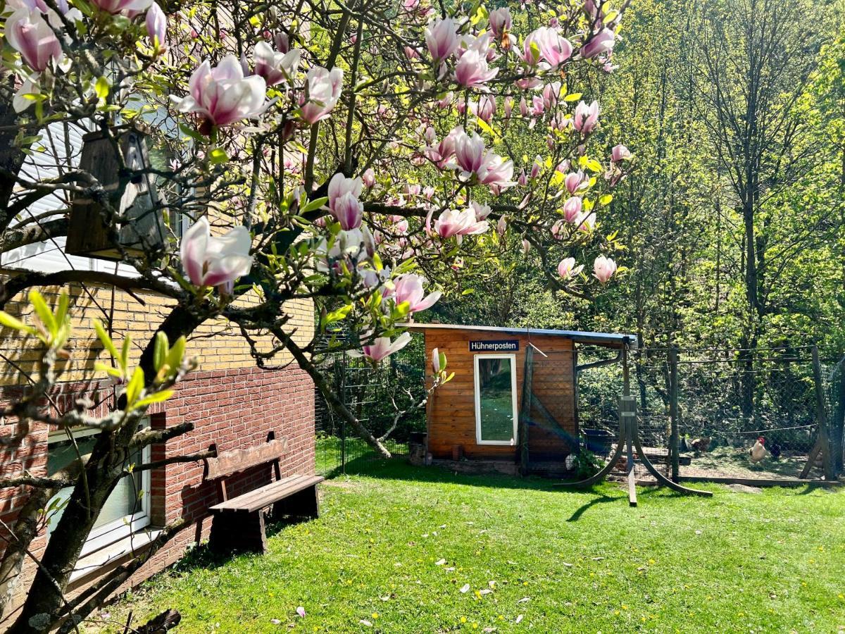Vor Lauter Baeumen B&B Zorge Екстериор снимка