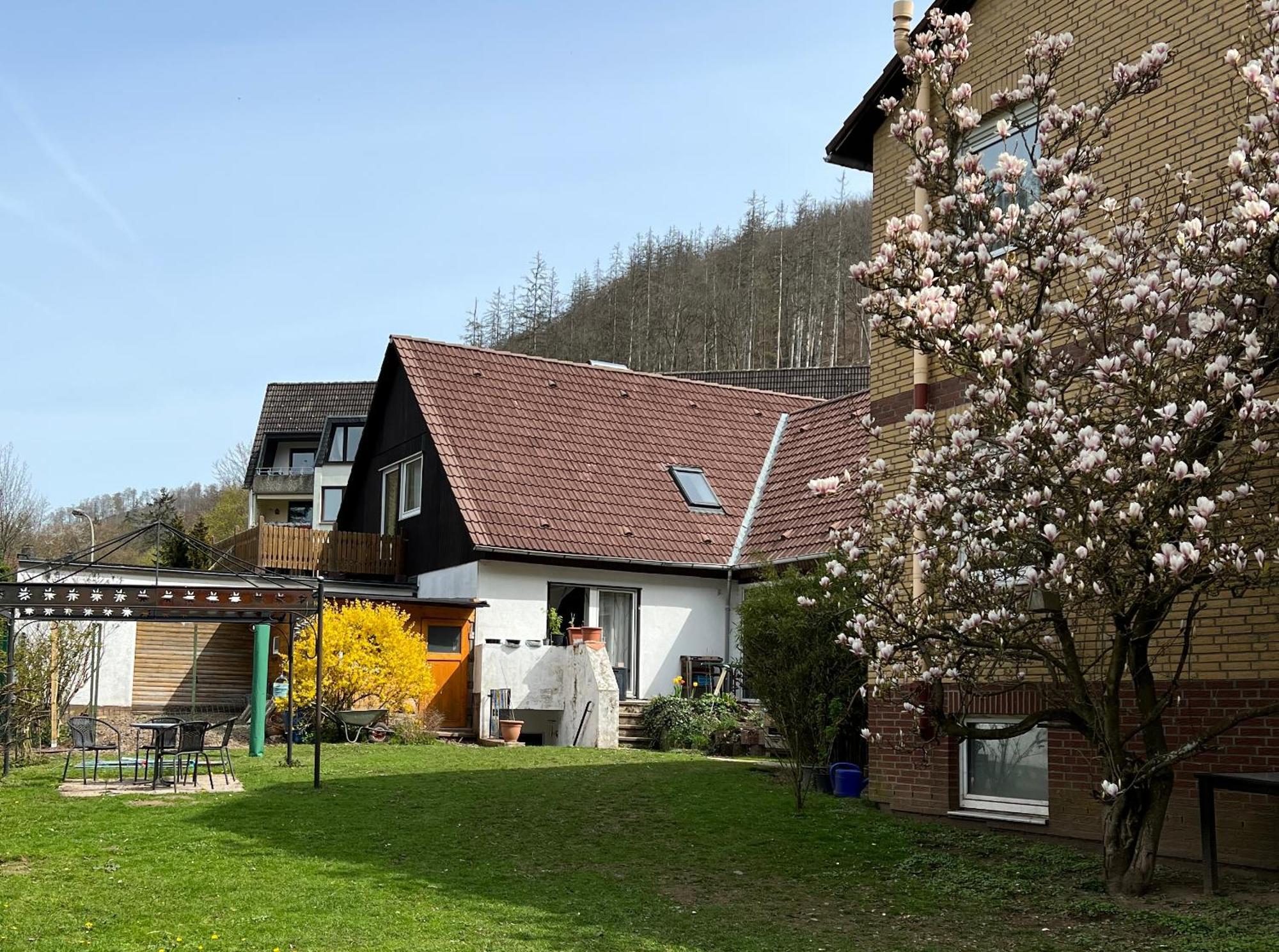 Vor Lauter Baeumen B&B Zorge Екстериор снимка