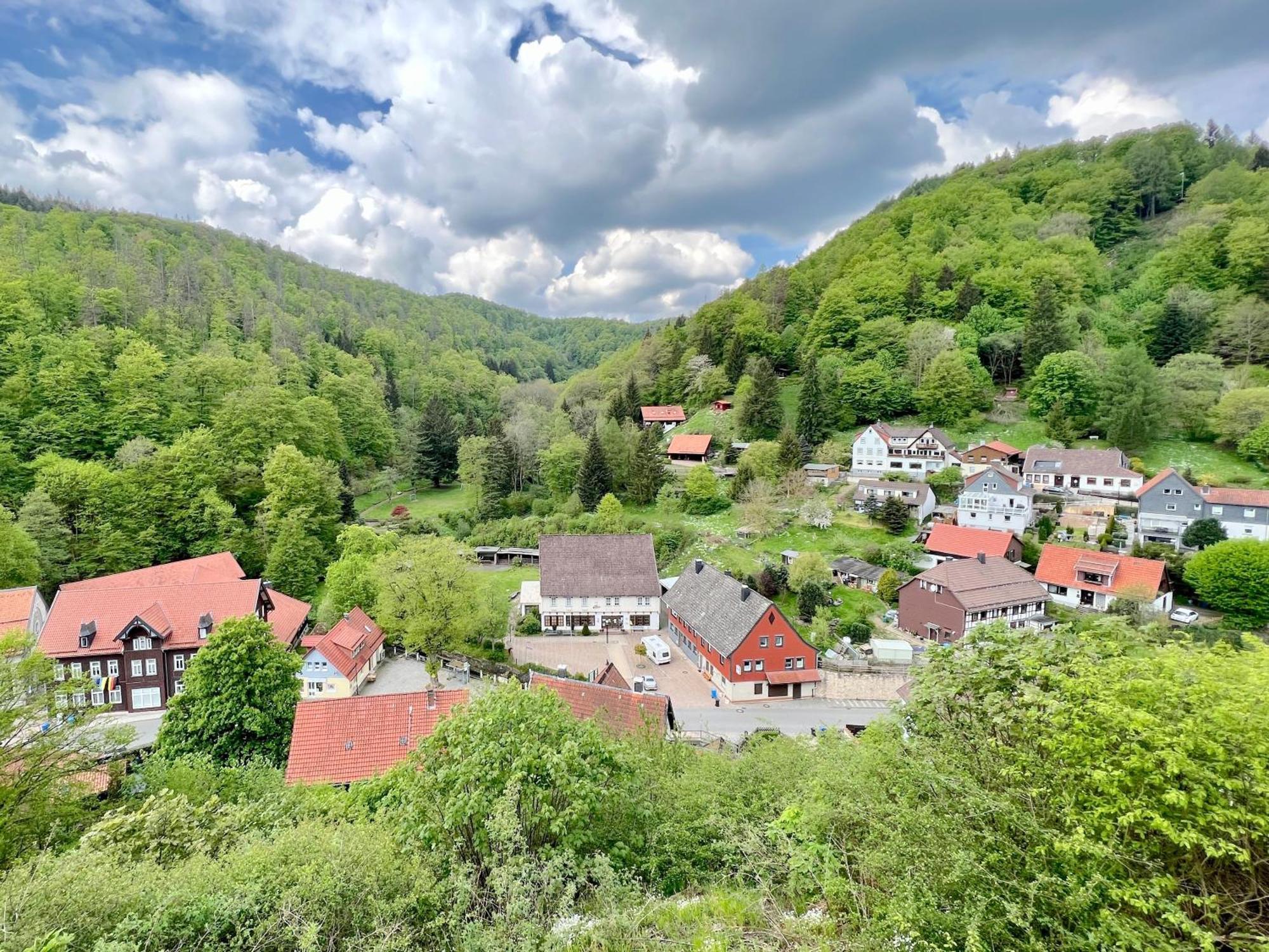 Vor Lauter Baeumen B&B Zorge Екстериор снимка