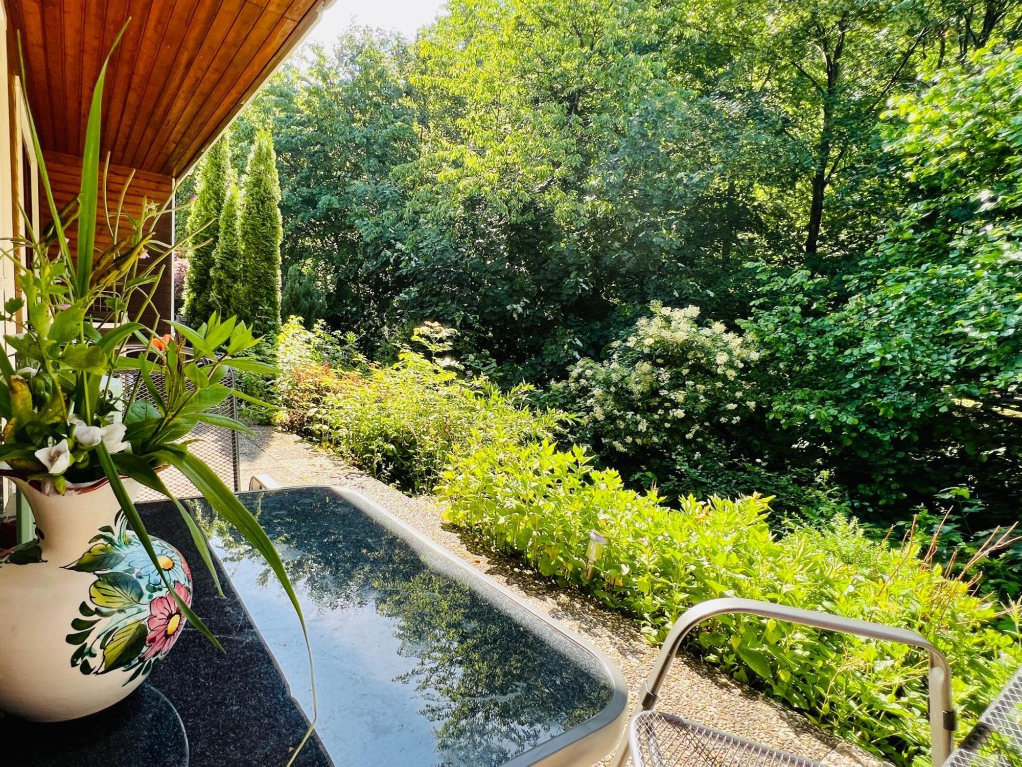 Vor Lauter Baeumen B&B Zorge Екстериор снимка