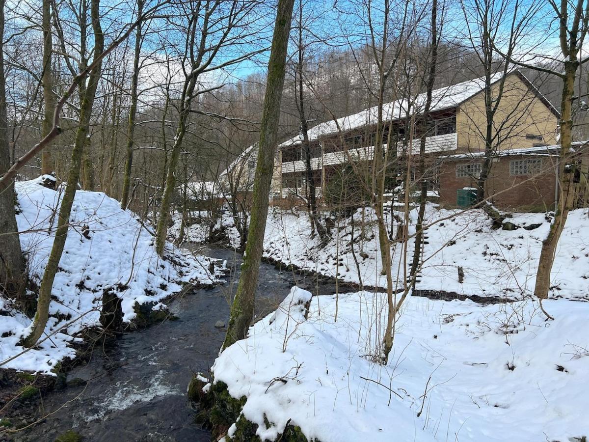 Vor Lauter Baeumen B&B Zorge Екстериор снимка